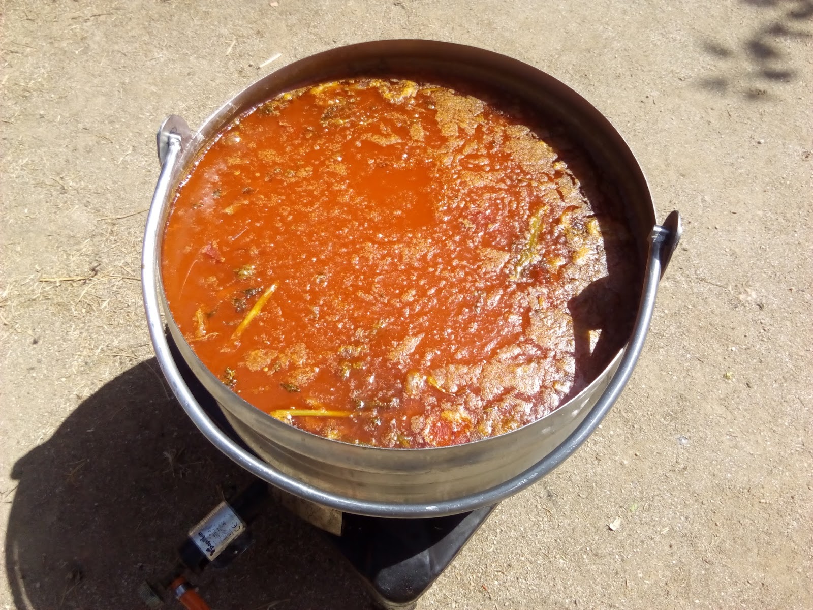 Pizarro Guareña (Badajoz) PAELLA