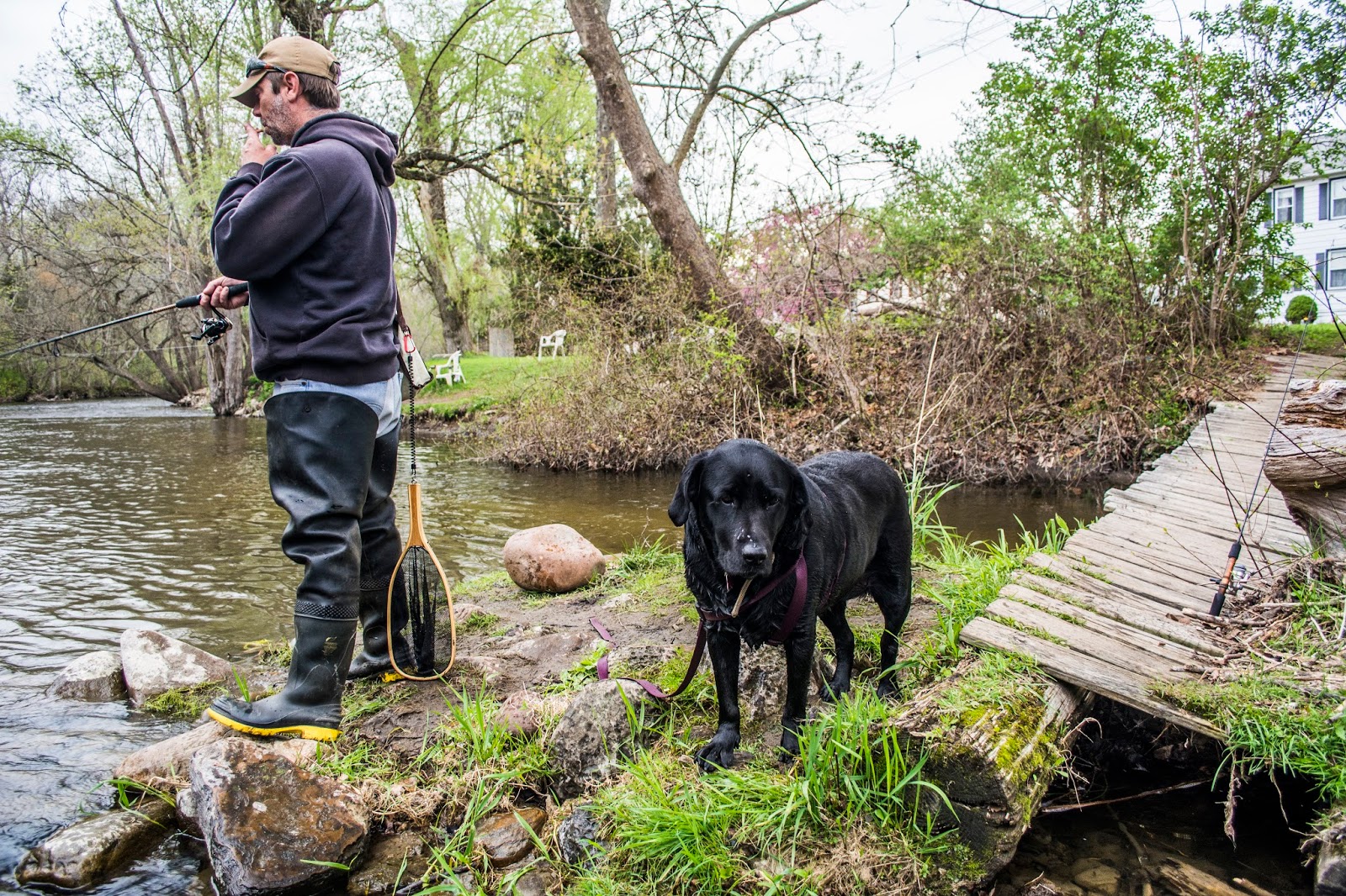 Litton's Fishing Lines Pequest River Trout Wading for Connection