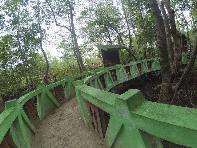 Jalan setapak Hutan Mangrove Langsa