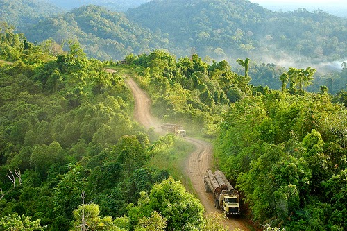 Mengintip Keindahan Gunung Lumut Paser, Kalimantan Timur ~ DASBOR PARIWISATA