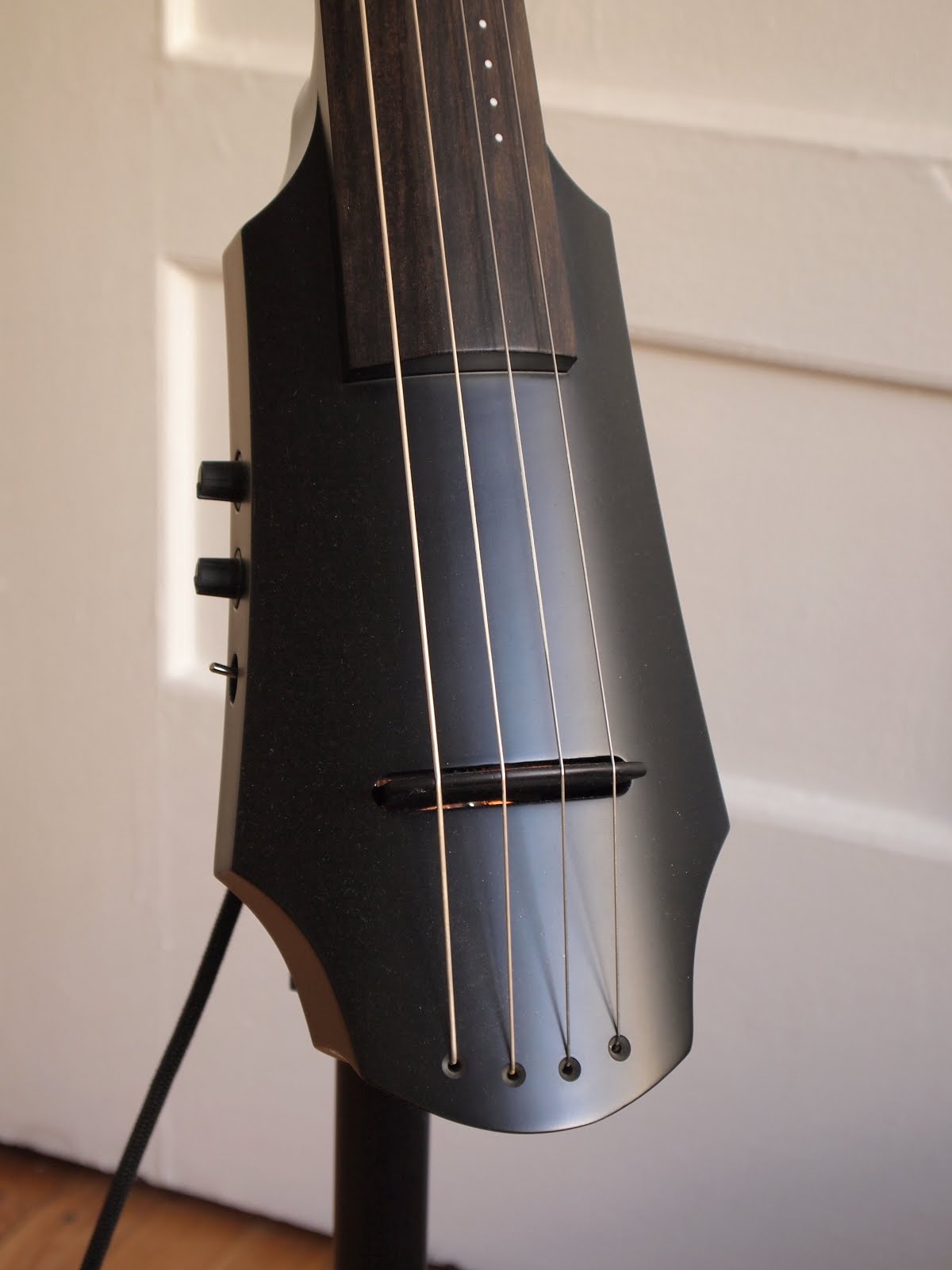 The World of Jez My new electric cello The NS NXT