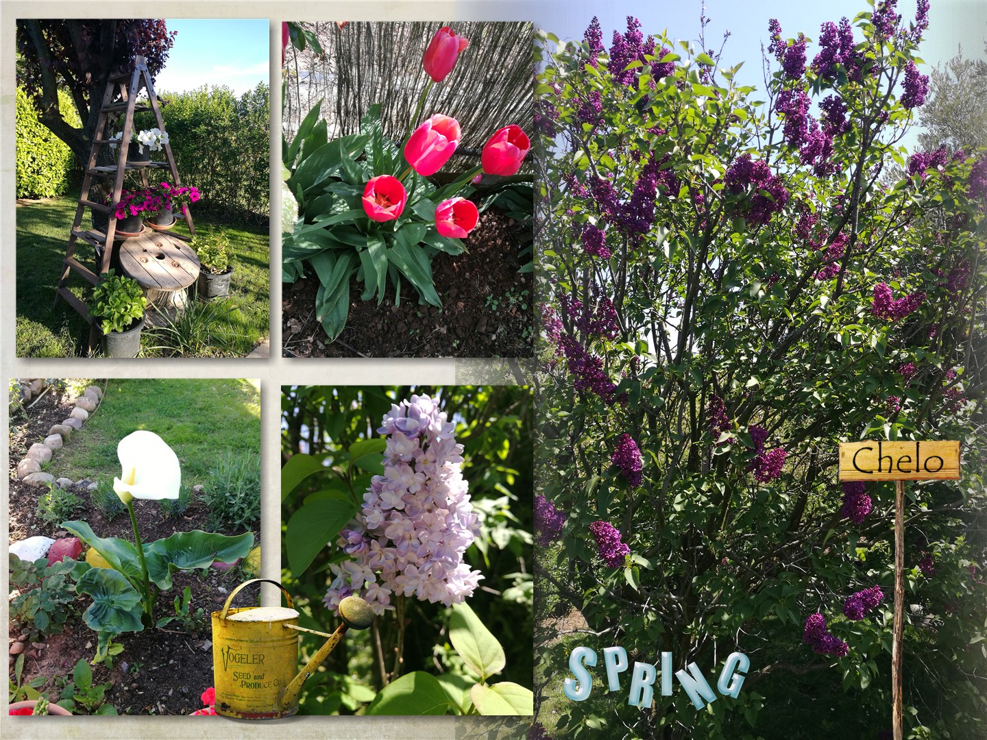 El Rincon De Chelo Que Bonita La Finca En Primavera