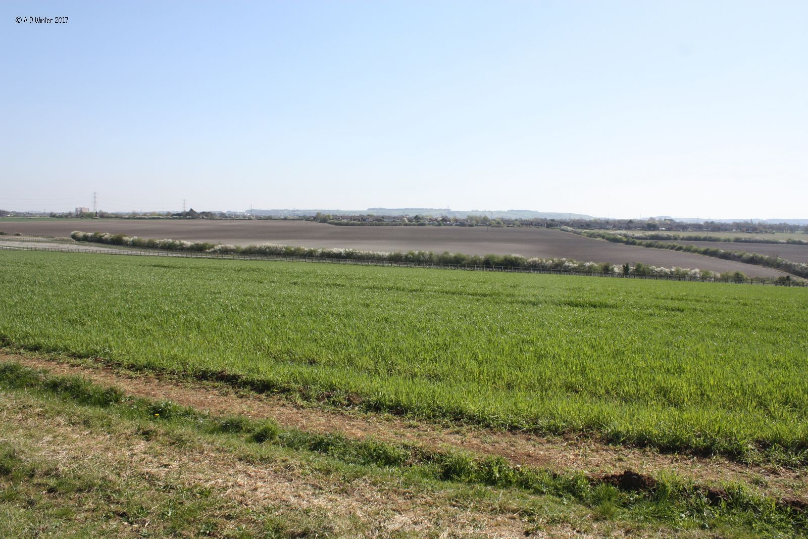 Tithe Farm Walk 2017