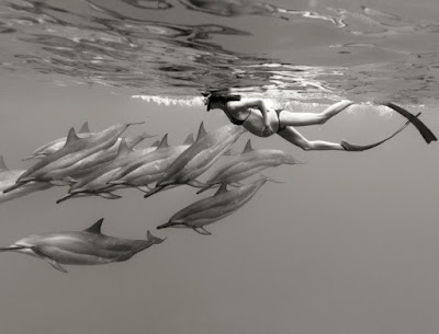 "Très vite la nouvelle circule au sein du premier cercle– ma famille, mes proches. Maintenant il ne me reste qu’à porter la nouvelle à la famille éloignée – les dauphins. Je l’aisouhaité dès l’instant où j’ai appris que j’étais enceinte 