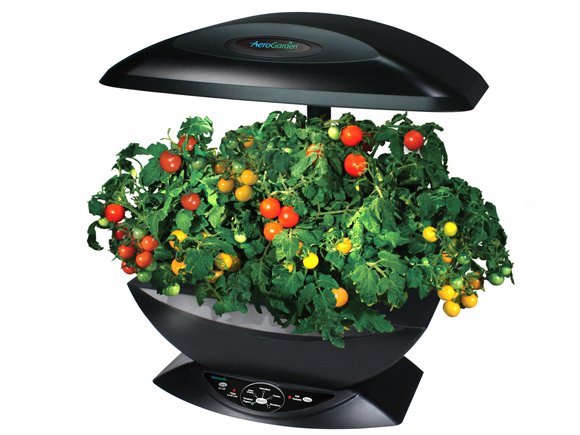 Plantas y Flores, plantas especies : Aerogarden: Un jardín doméstico