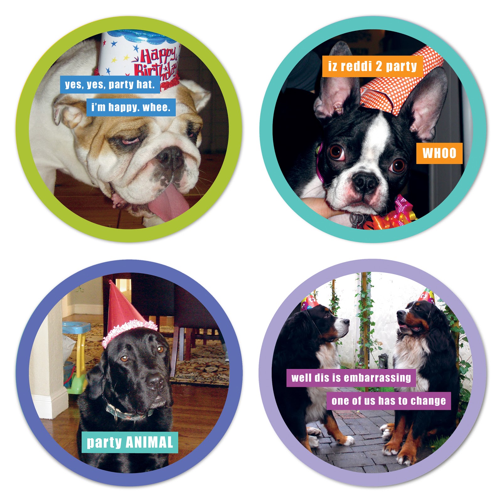 Advent Calendar For Dog Lovers Day 1 I Can Has Cheezburger Kol s Notes advent-calendar-for-dog-lovers-day-1-i-can-has-cheezburger-kol-s-notes