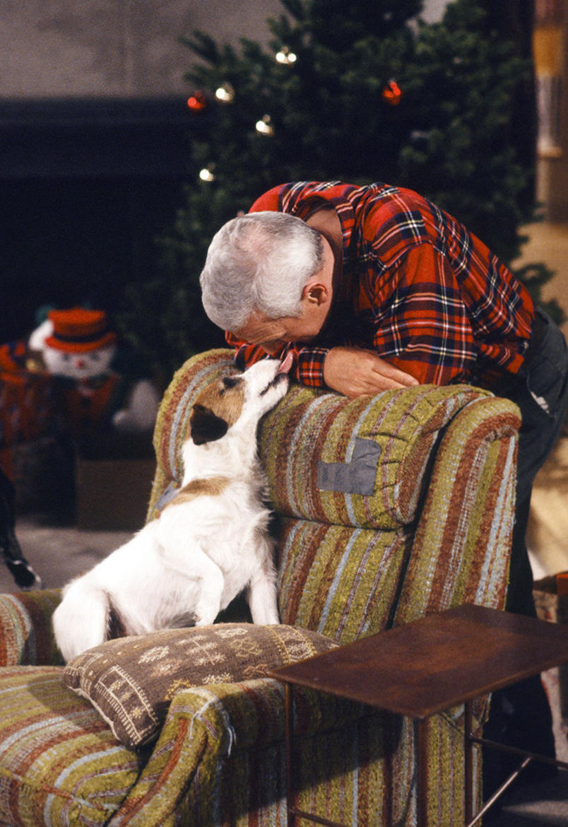 View from the Birdhouse Dear Abby Famous TV Dogs Eddie from Frasier