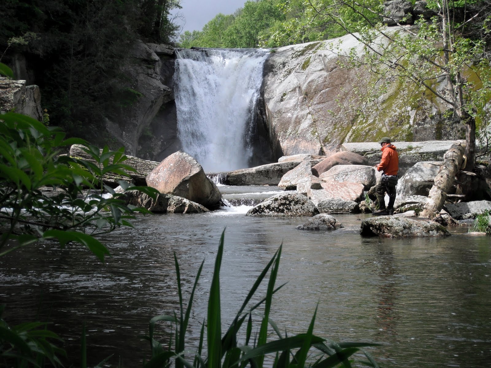 Traveling Guides Fish Hounds Elk River, North Carolina