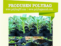Polybag dan Kebutuhan Rumah Tangga