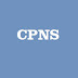 Jalur Formasi Khusus CPNS, Cumlaude, Disabilitas, Papua dan Papua Barat, Diaspora, Olahragawan
