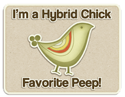 I am a Hybrid Chick, Favourite Peep