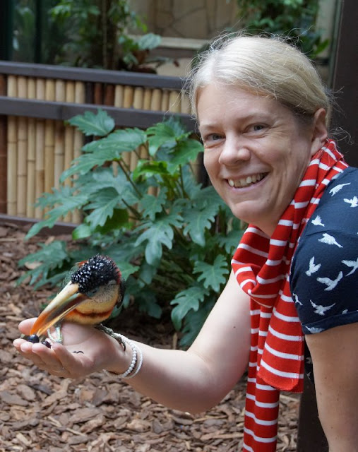 Phantastische Vögel aus aller Welt: Unterwegs im Weltvogelpark Walsrode (+ Verlosung). Die Tukane zu füttern, zu streicheln und zu fotografieren war ein Traum.