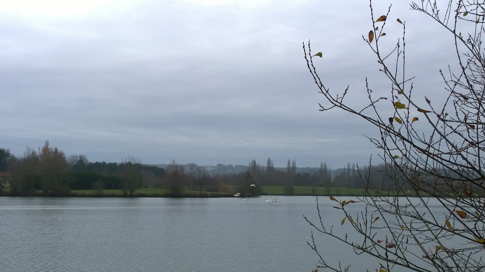 Club de randonnées pédestres Saint Antoinaises 08/01/16 Etangs St Antoine