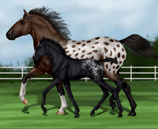 Online Horse Simulation Games