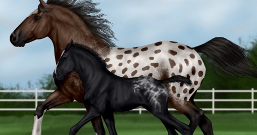 Fun Free No Download Horse Games - Colaboratory