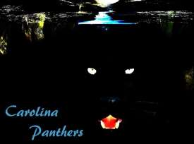 NFL Preview Standings Carolina Panthers NFL Preview Standings Carolina Panthers