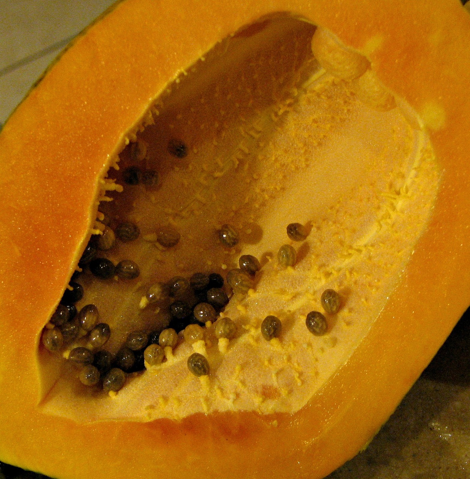 The Back Forty First Papaya Harvest