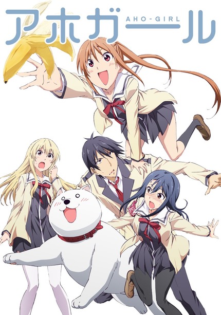 Aho Girl 12/12 [145MB][MG]