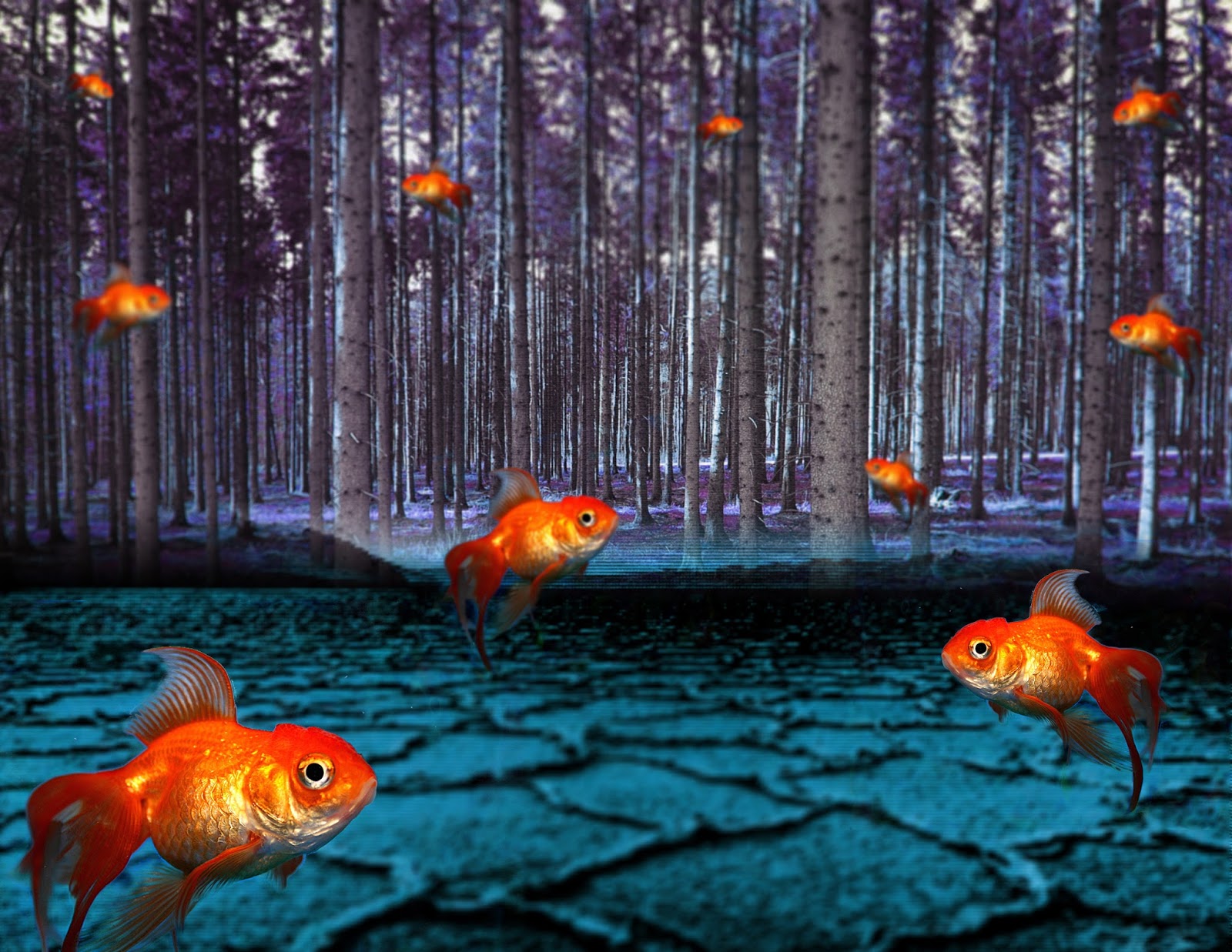 Mr. Boswell's Digital Design Examples: Photoshop Project