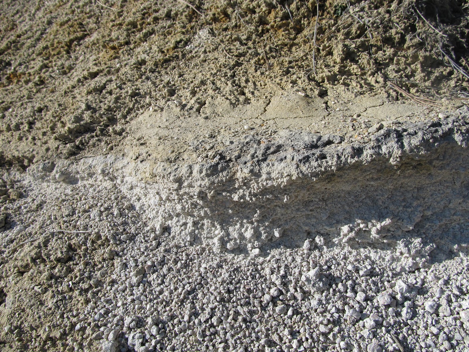 Dazzling Daniel's Park