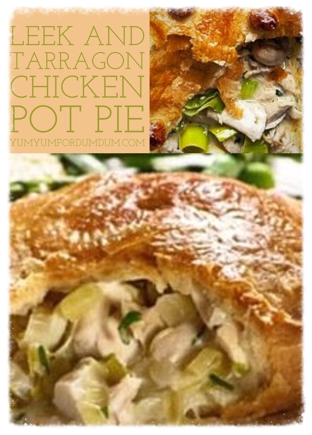 Yum Yum for Dum Dum Leek and Tarragon Chicken Pot Pie