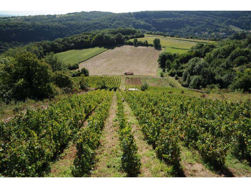 Les Coteaux du Lyonnais