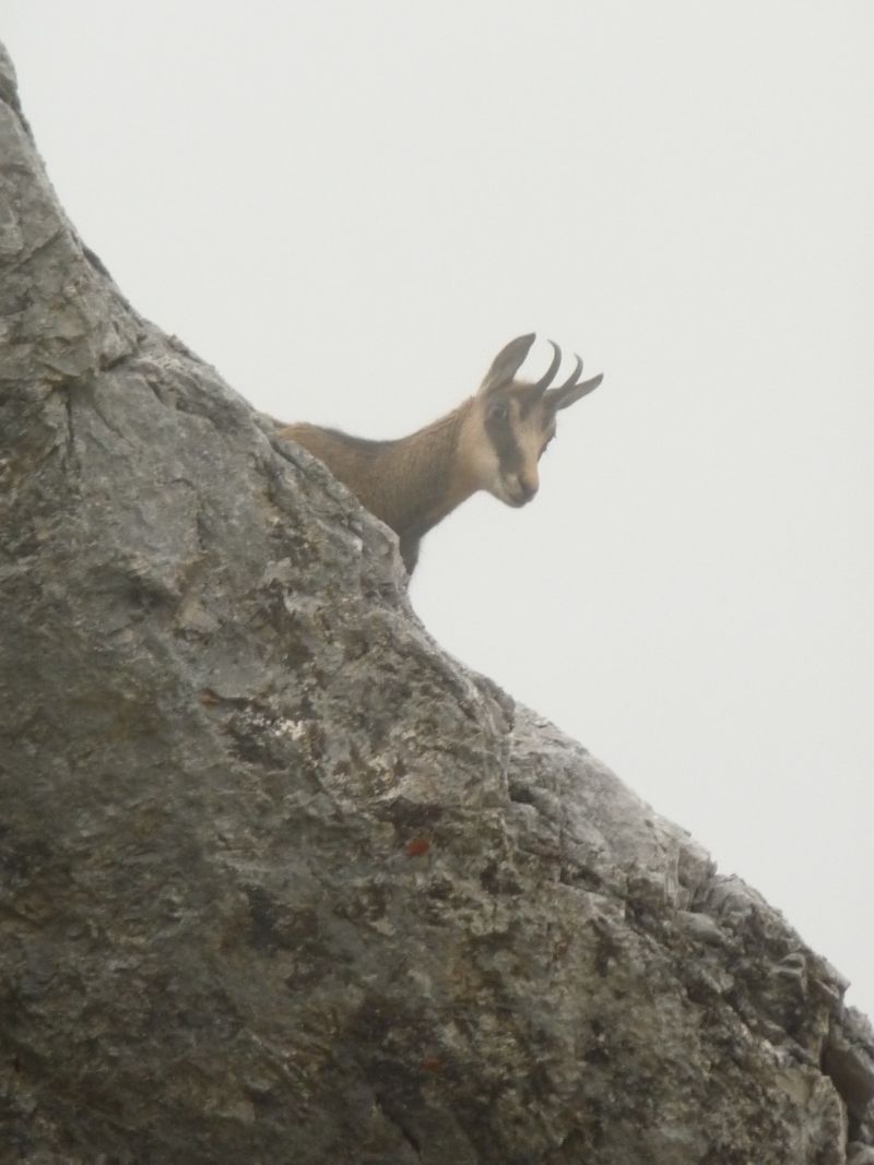 Familienausfluge Mit Kindern Im Allgau Viel Spass Fur Kinder Am