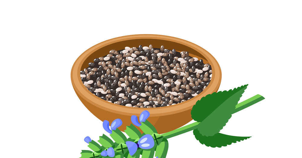 Check nutritional value of chia seeds chia seeds