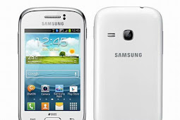 Original Firmware Samsung Galaxy Young 2 GT-S6310 (StockROM)