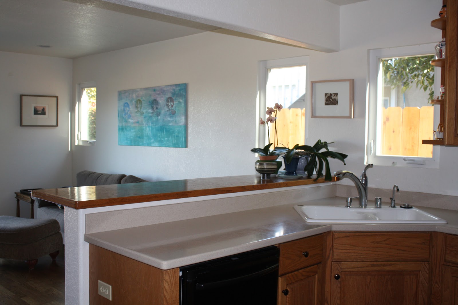 VILLAGE PARK, ENCINITAS HOUSE FOR SALE*****