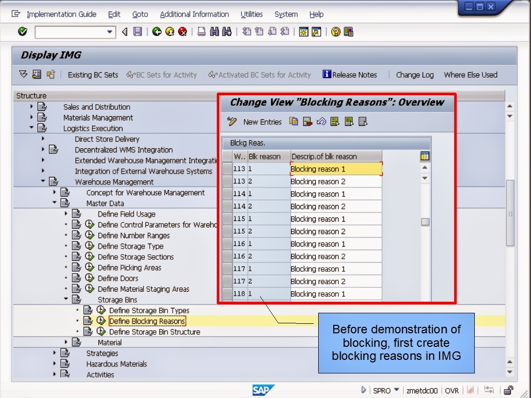 青蛙SAP分享 Froggy's SAP sharing WMS Controls Blocking Storage Types and