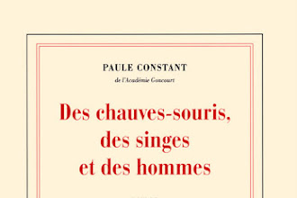 Lundi Librairie : Des chauves-souris, des singes et des hommes - Paule Constant