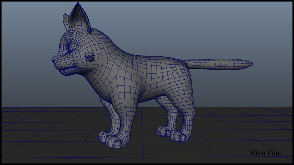 riya Cat Modeling......