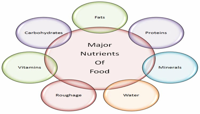 पोषक तत्व क्या है? What is nutrients? 1 पोषक तत्व क्या है? What is nutrients?
