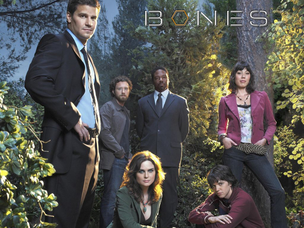 Bones series. Bones кости.