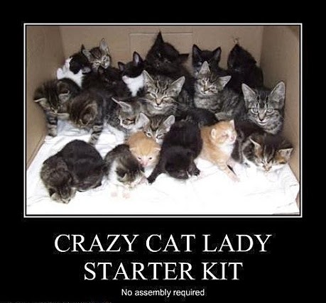 http://2.bp.blogspot.com/-5U0IX0tzjKU/VF1lku6LrYI/AAAAAAAAAjM/efkPqZH2OjQ/s1600/crazy-cat-lady-starter-kit.jpg