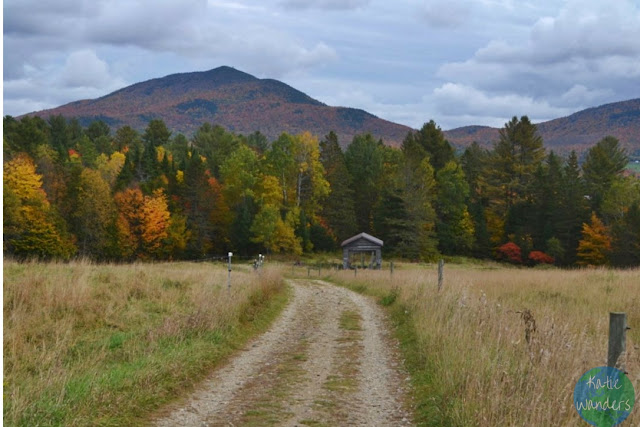 kingdom trails bike shop
