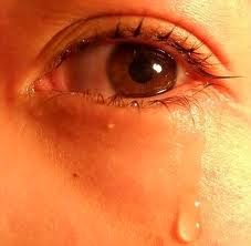 apa bahasa indonesianya tears - Akuntt.com - Mencerdaskan Bangsa