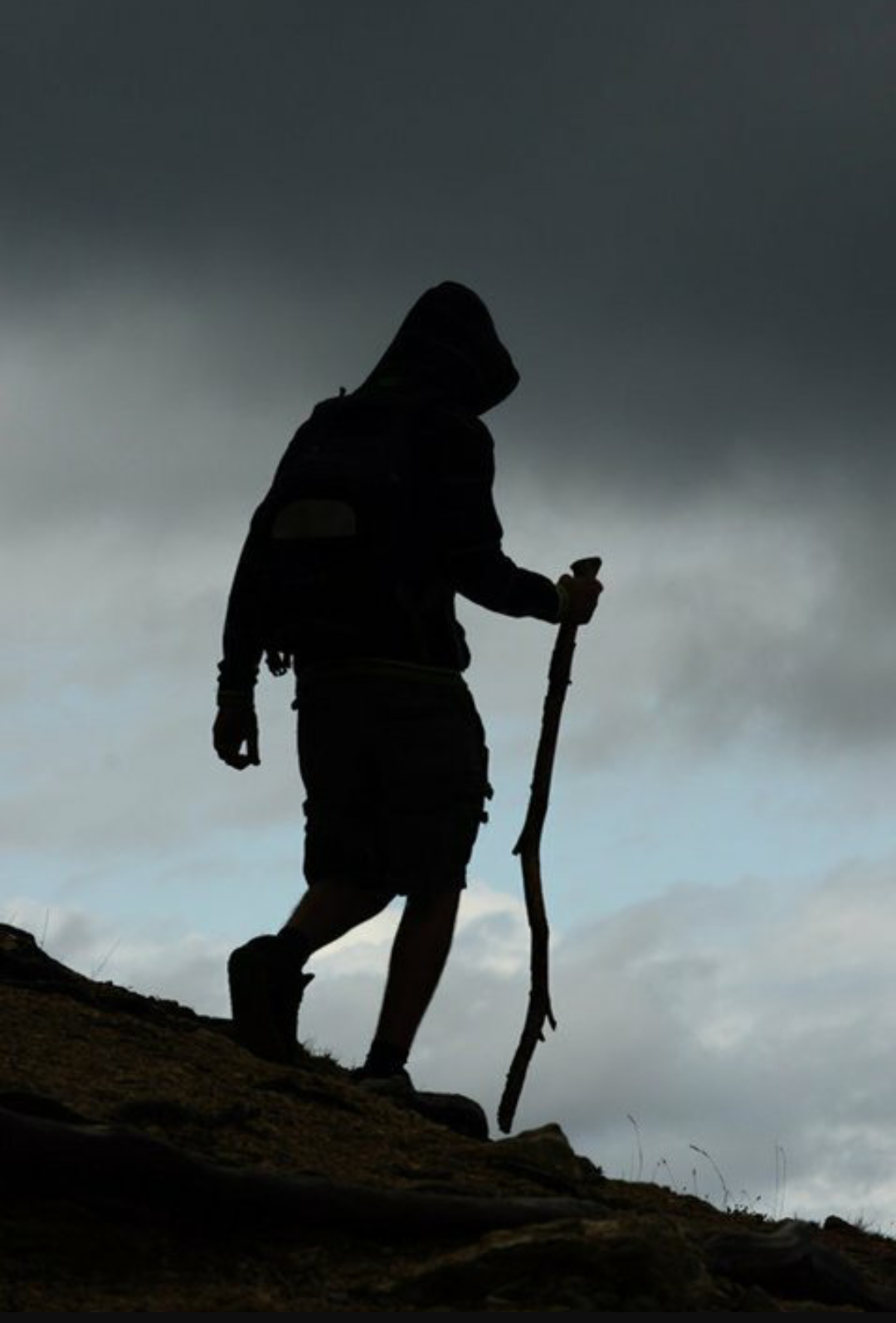 Familia de 3 hijos busca mundo diferente para vivir El peregrino