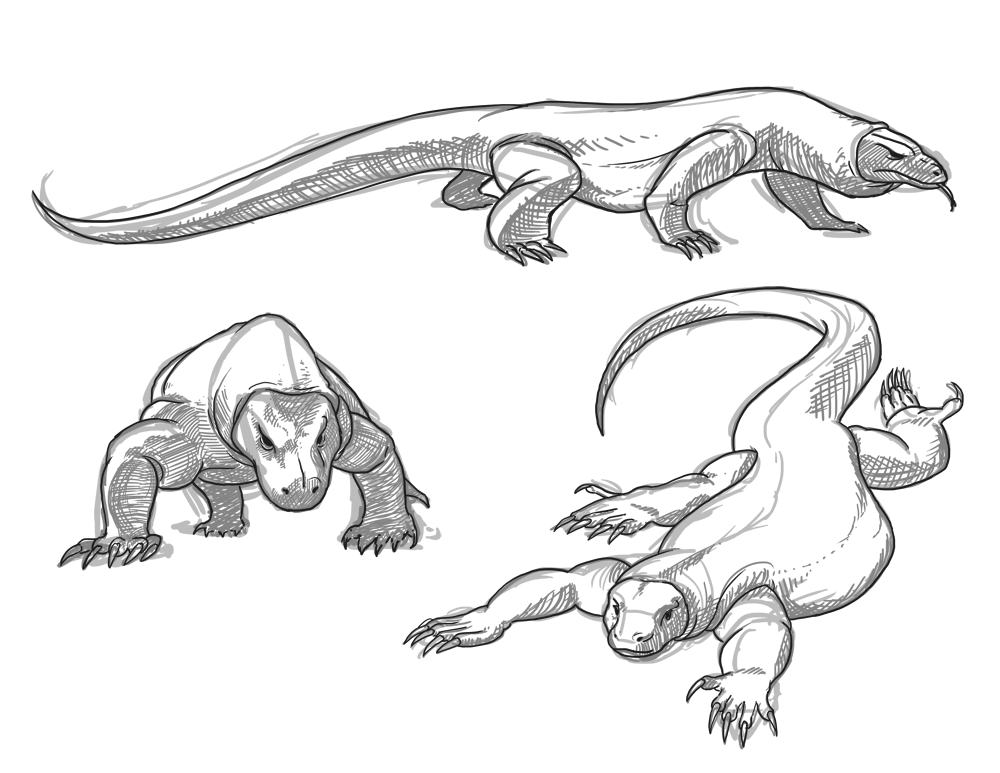 GryphonShifter Komodo Orthos