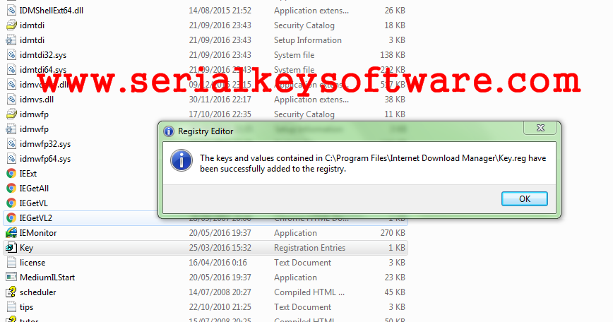 Free Serial Key IDM 6.30 Build 3 Activation Full Versi ...