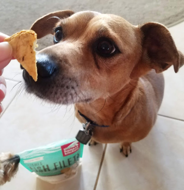 Fish Dog Treat Sausage Suk Fish Dog Treat Sausage Suk