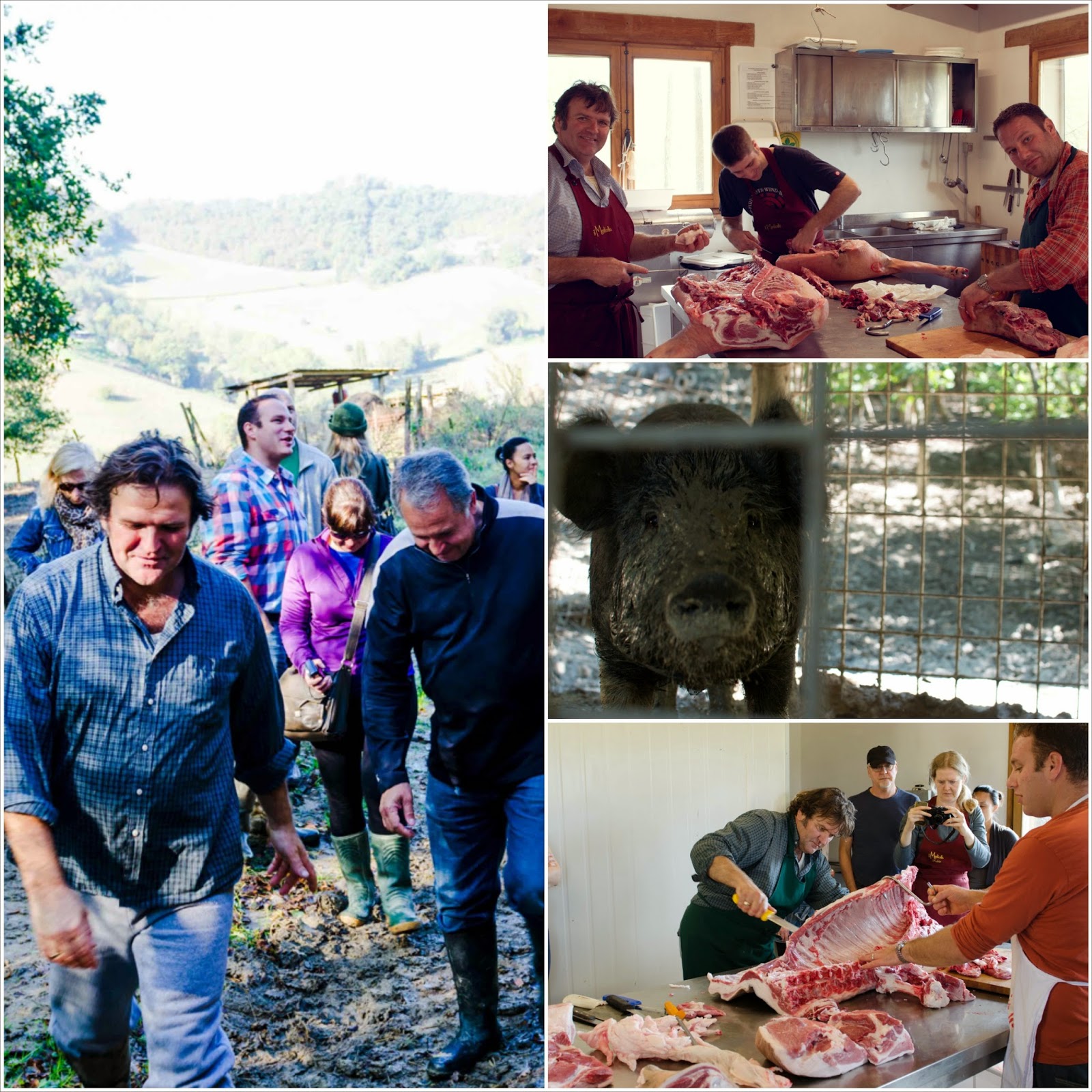 Old World Butchery Course with Artisans & Farmers in Italy, La Tavola Marche