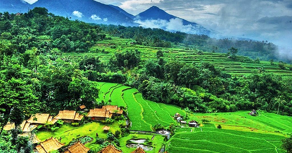 Pengertian Lingkungan, Jenis serta Pelestariannya