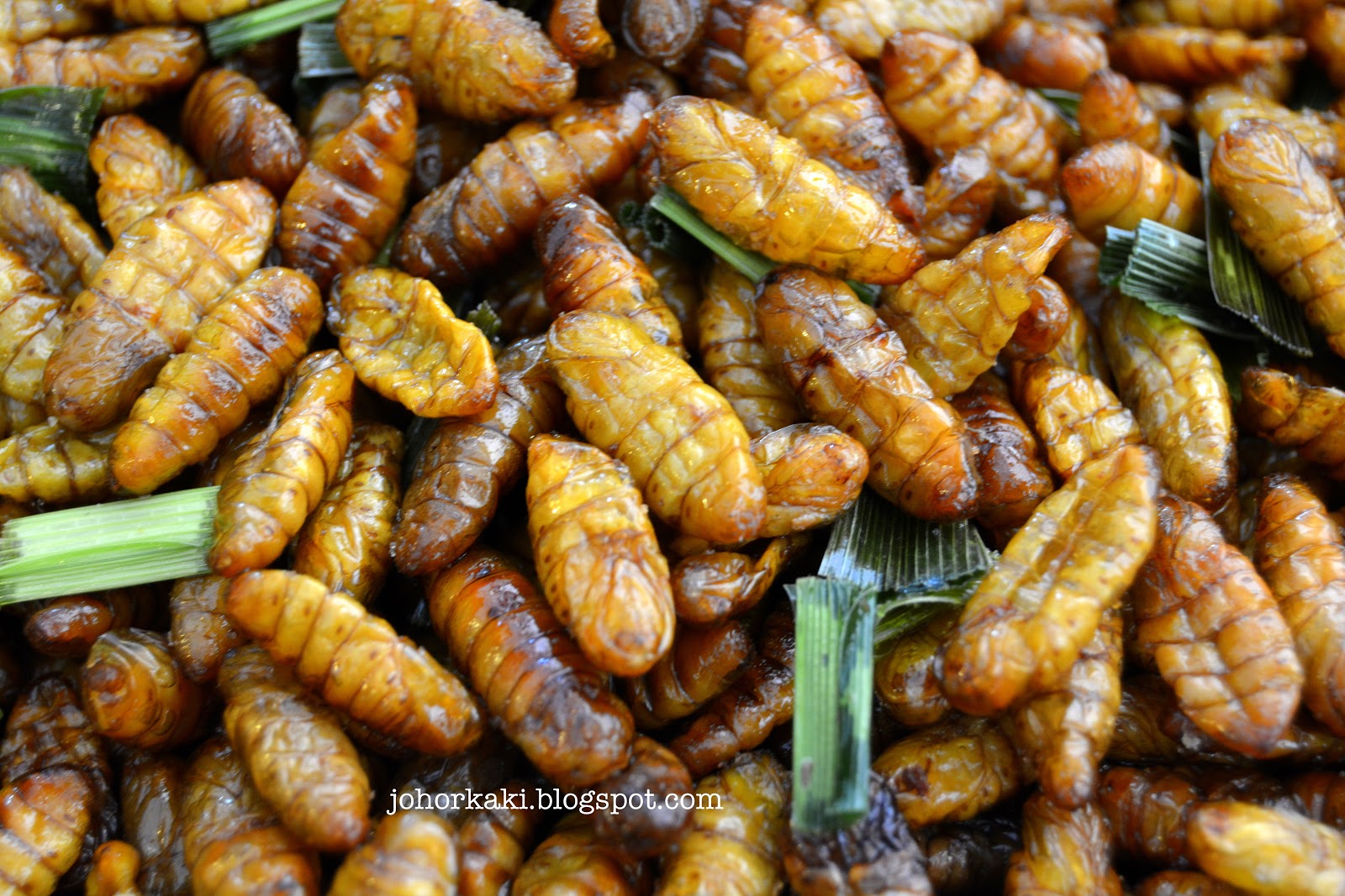 What Insects To Eat In Bangkok The Fear Factor Food List Jk1156 Johor Kaki Travels For Food