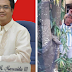 Puerto Princesa Vice Mayor Marcaida's House Raided - Illegal Drugs Seized
