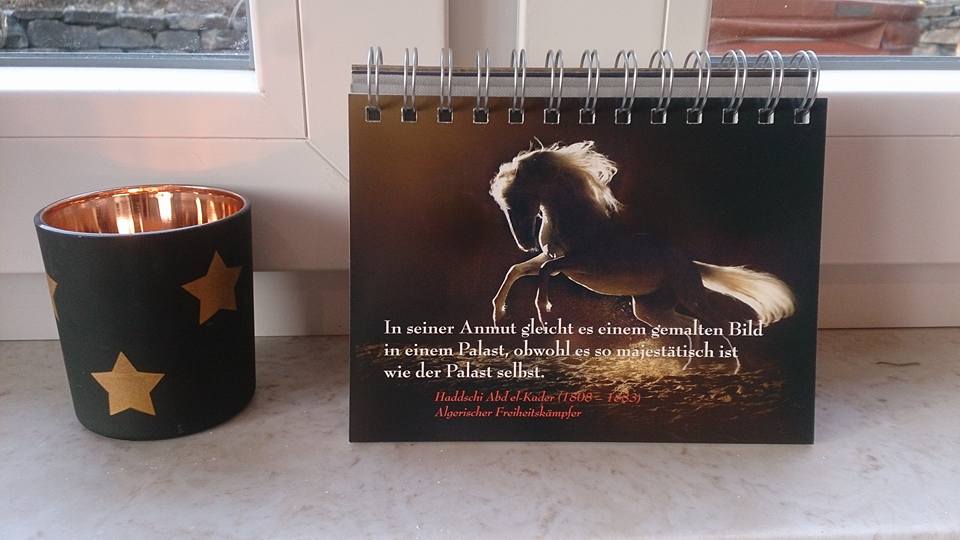 Fantasie Und Traumerei Pferde Ein Literarischer Adventskalender