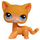 Littlest Pet Shop Small Playset Cat Shorthair (#71) Pet