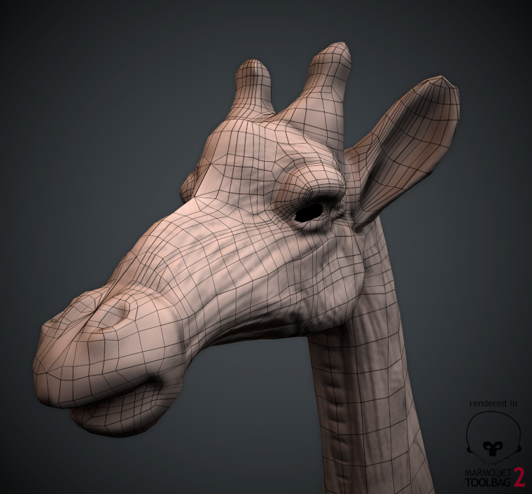 Art Blog: Giraffe Anatomy Final
