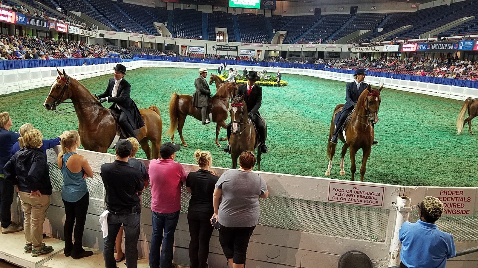The American Saddlebred 8/25/17 World's Championship Horse Show at